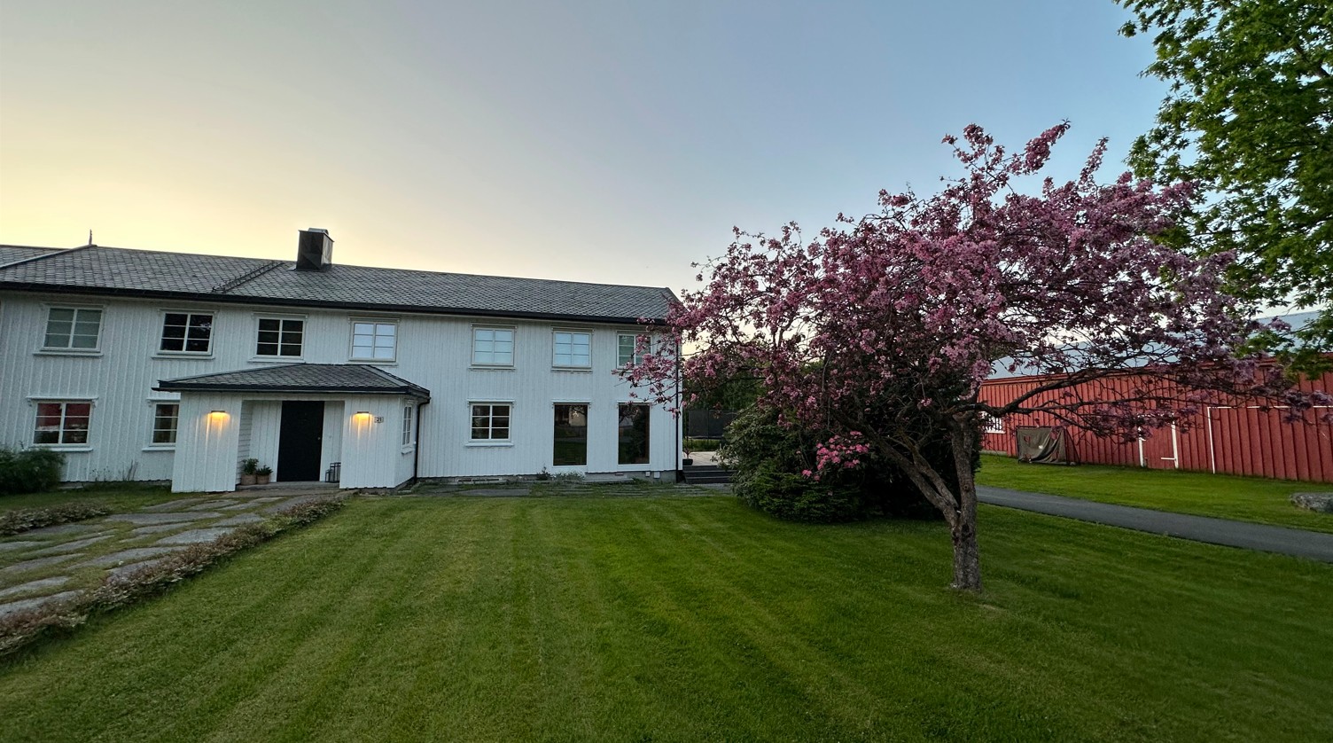 Innestua farm property with traditional white farmhouse and flowering tree
